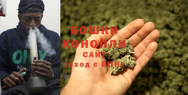 ПСИЛОЦИБИНОВЫЕ ГРИБЫ Абдулино