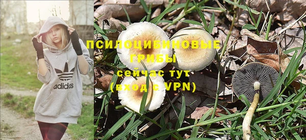 наркотики Абинск