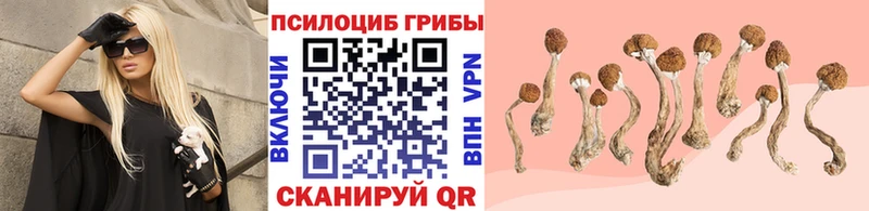 купить наркотик  МЕГА зеркало  Псилоцибиновые грибы Psilocybine cubensis  Инта 